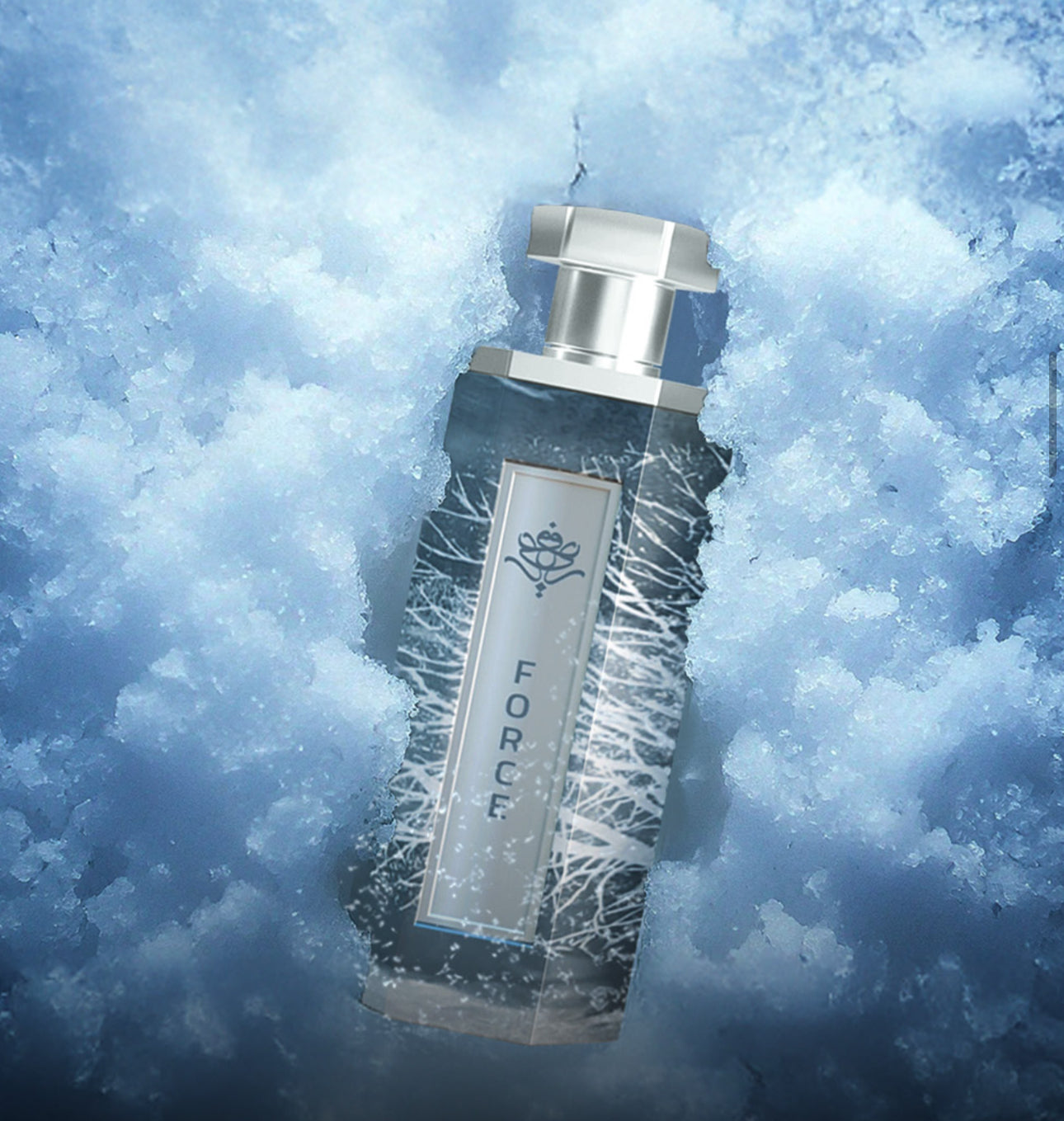 Winter Collection